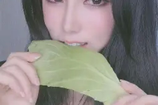 从“吃瓜童”到“种瓜人”——冯兴虎的甜蜜耕耘路